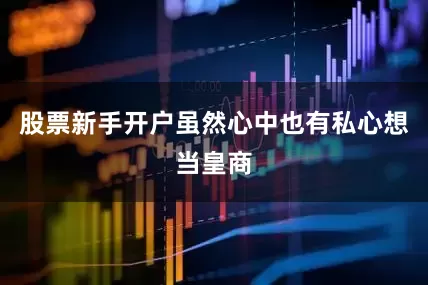 股票新手开户虽然心中也有私心想当皇商