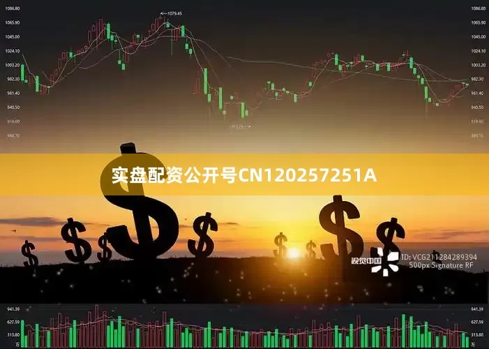 实盘配资公开号CN120257251A