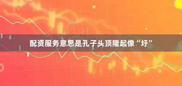 配资服务意思是孔子头顶隆起像“圩”